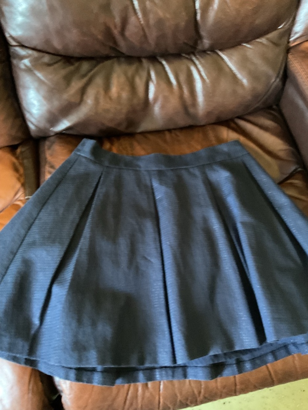 Banana Republic Navy Pleated Skater Skirt